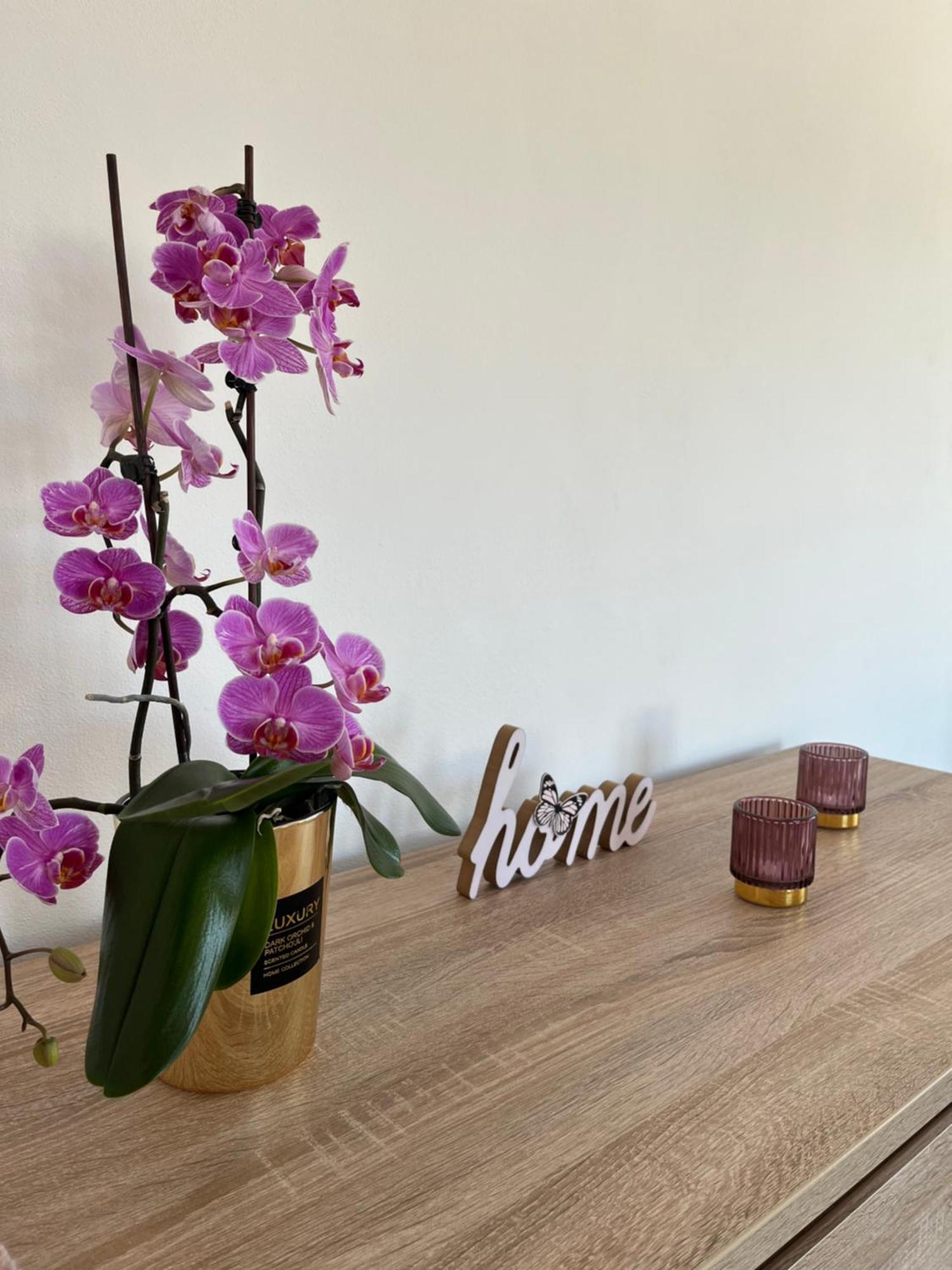 Apartman Niklan Rožnov pod Radhoštěm Extérieur photo